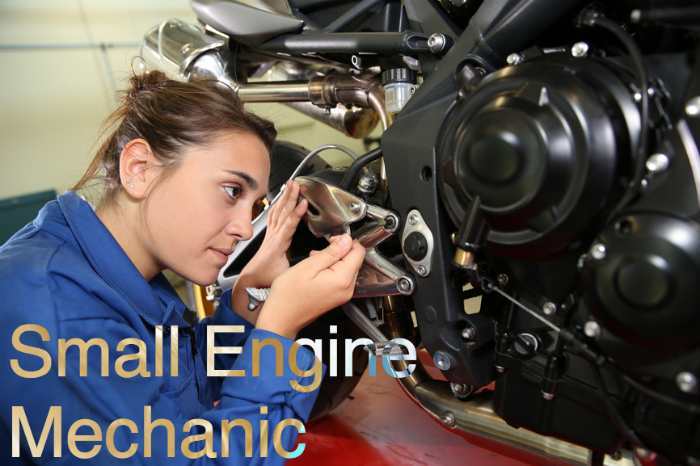 small engine mechanic